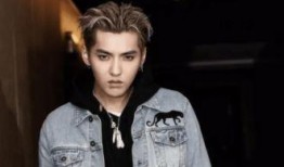 吴亦凡视频,揭秘明星背后的真实生活